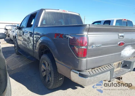 2010 Ford F-150 Xl/Xlt from USA, damaged, VIN 1FTEW1E80AFB81964